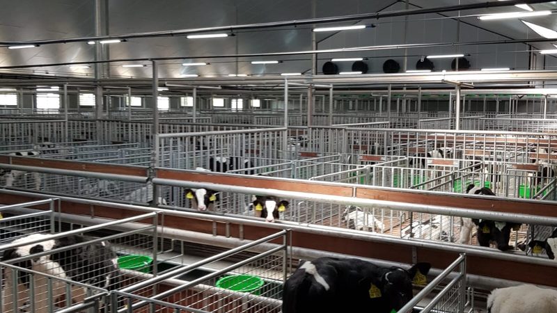 揭秘代运营收费陷阱：电商卖家如何规避风险